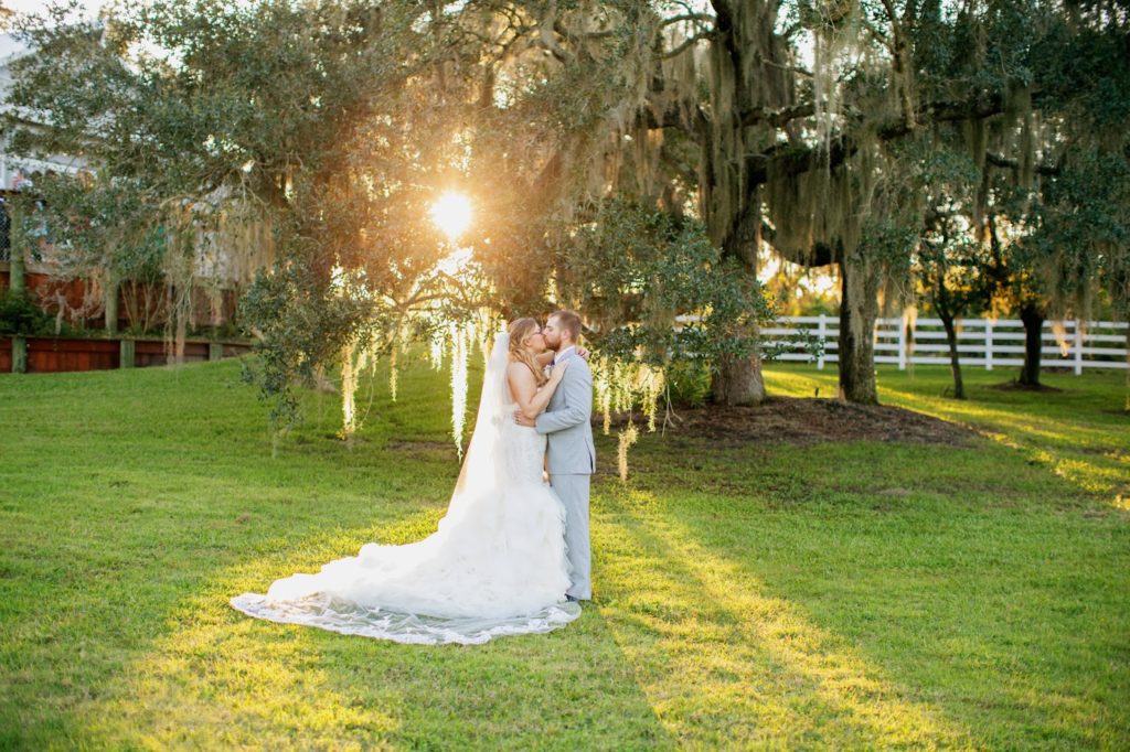kissing under a large oak tree with the beautiful sunlight shining