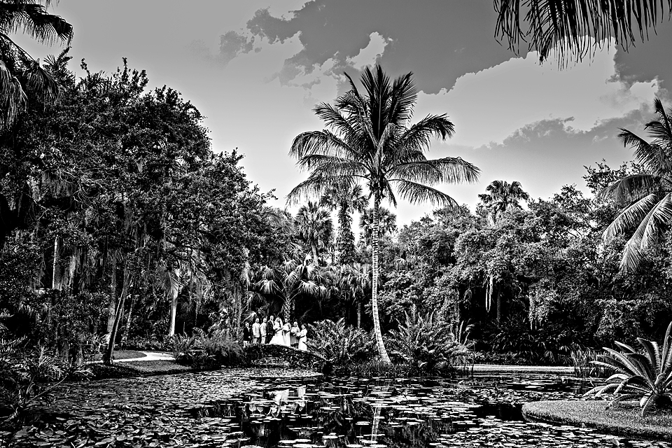 black and white photo of bridal party at mckee gardens in vero beach florida