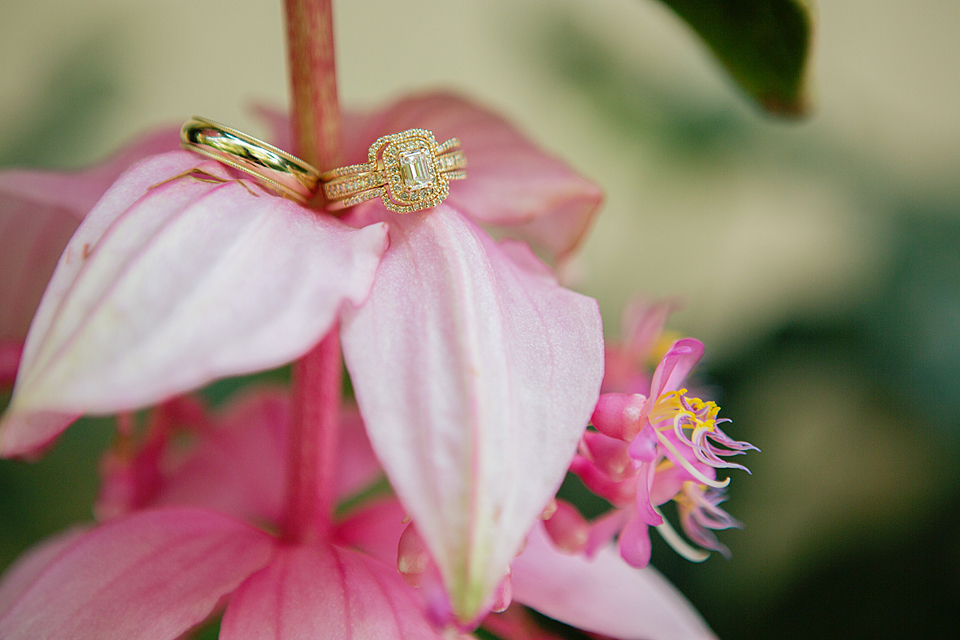 vero beach florida wedding rings hanging on a pink flower