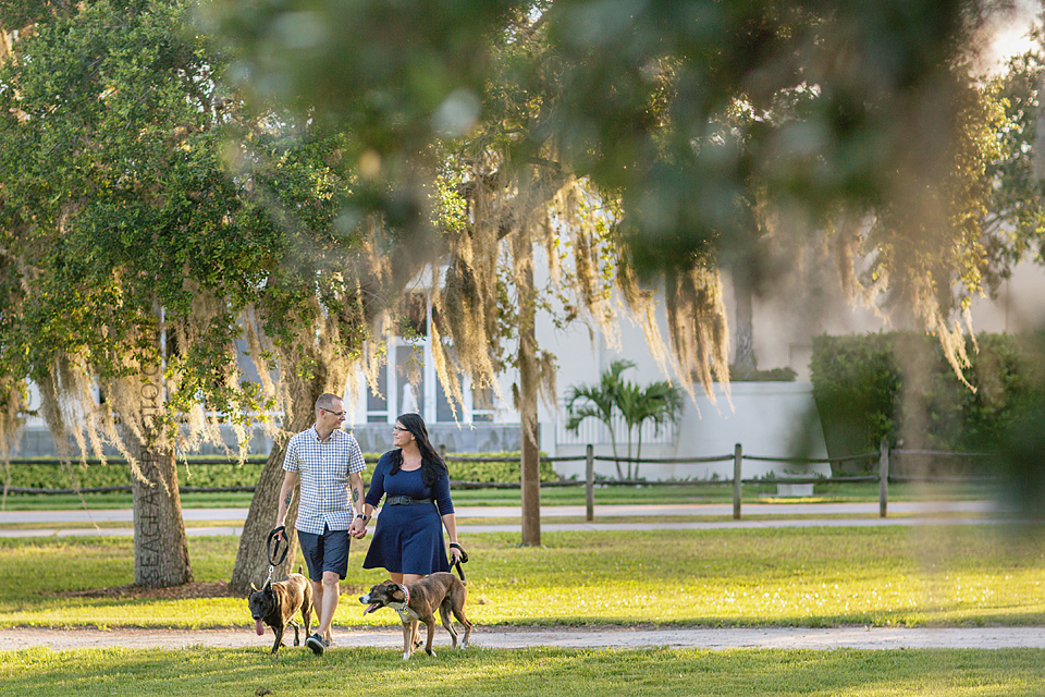 couple walking thier dogs through the park at riverside in south florida