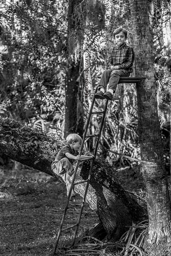 Black and white photo of brothers playing on a tree look out in Vero Beach Florida