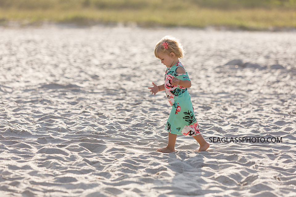 Young girl explores the beach during family photos in Vero Beach Florida