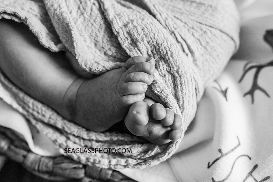 Close up of newborns feet in black and white during newborn shoot in Vero beach Florida