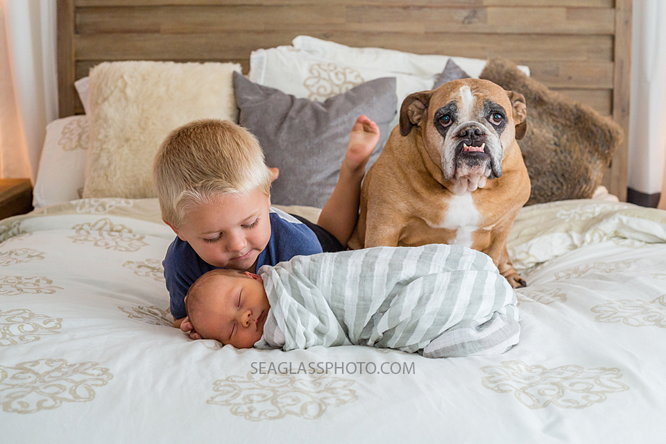 Big brother and dog pose around their new little brother during new born session in Vero Beach Florida