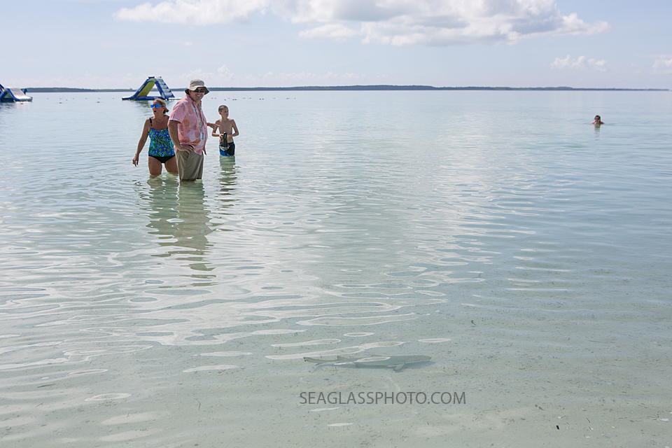 SHARK!! family admires as a small sharks passes in the water while in the Bahama's Photographed by a Vero Beach Florida Photographer