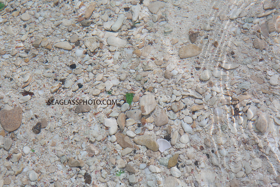 The water is so clear you can see the sea glass on the ocean floor Photographed by a Vero Beach Florida Photographer