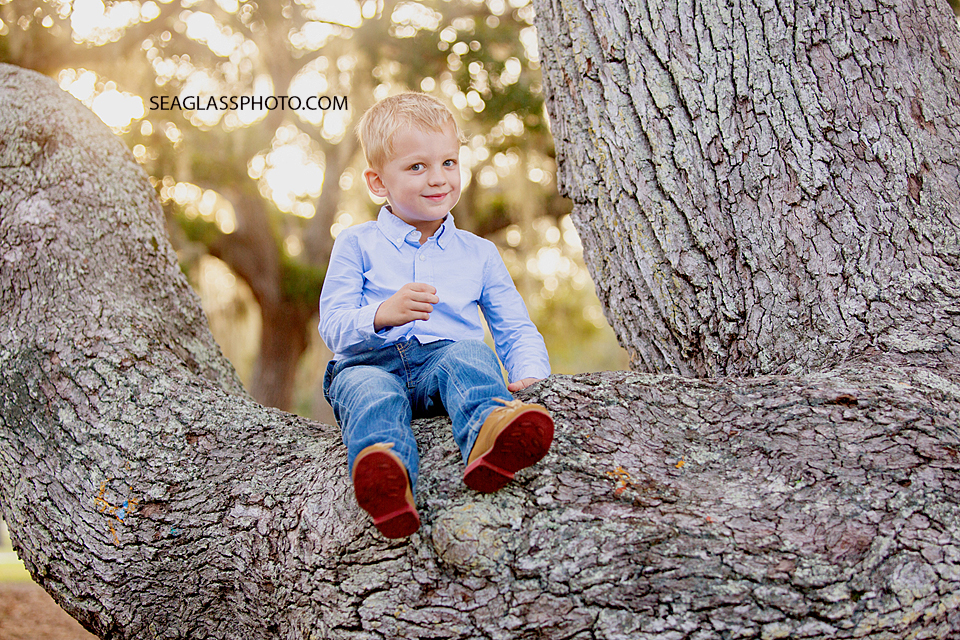 Close up of young boy in an oak tree during family photos at Riverside in Vero Beach Florida