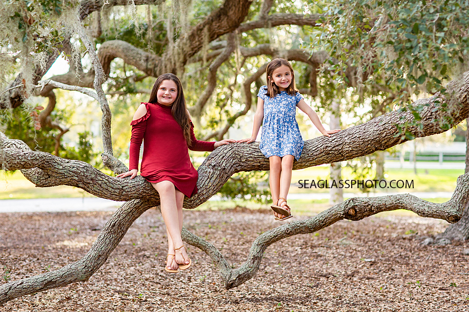 Sisters sit on a oak tree branch together during sister photoshoot in Vero Beach Florida