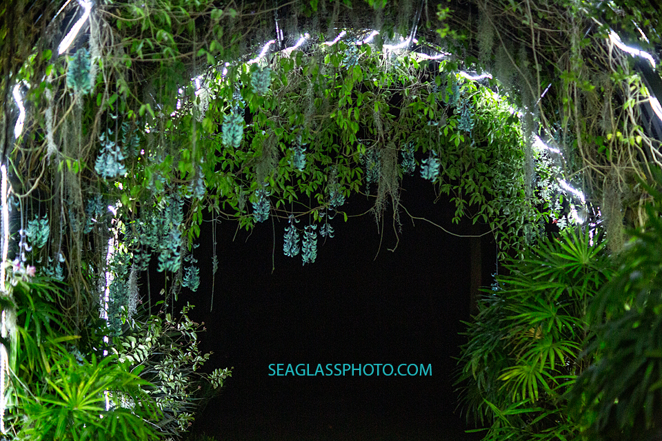 Beautiful secret garden entrance at McKee Gardens dinner held to preview the new children center photographed by a Vero Beach Florida photographer