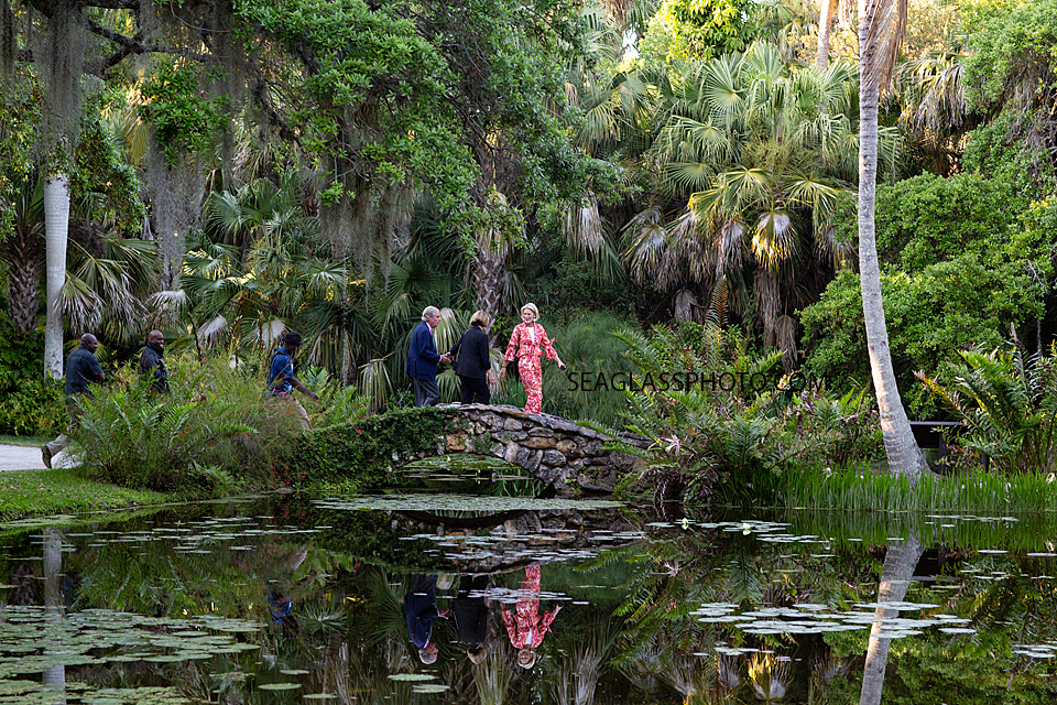 Beautiful View of the bridge of the small pond at McKee Gardens dinner held to preview the new children center photographed by a Vero Beach Florida photographer