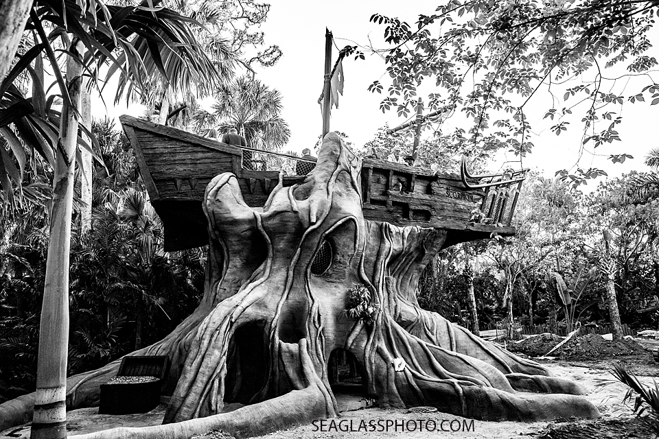 Black and white photo of a cool ship in a tree McKee Gardens dinner held to preview the new children center photographed by a Vero Beach Florida photographer