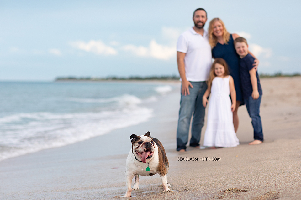 Dog with his family in Vero Beach Florida