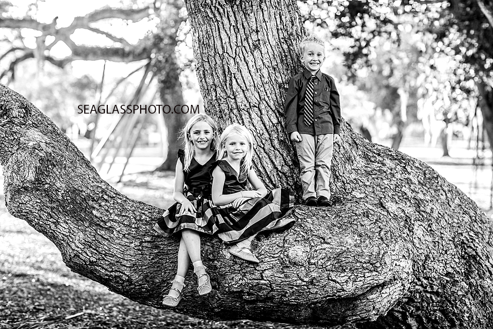 black and white photo of siblings up in a tree in Riverside Park Vero Beach Fl by Seaglass Photography