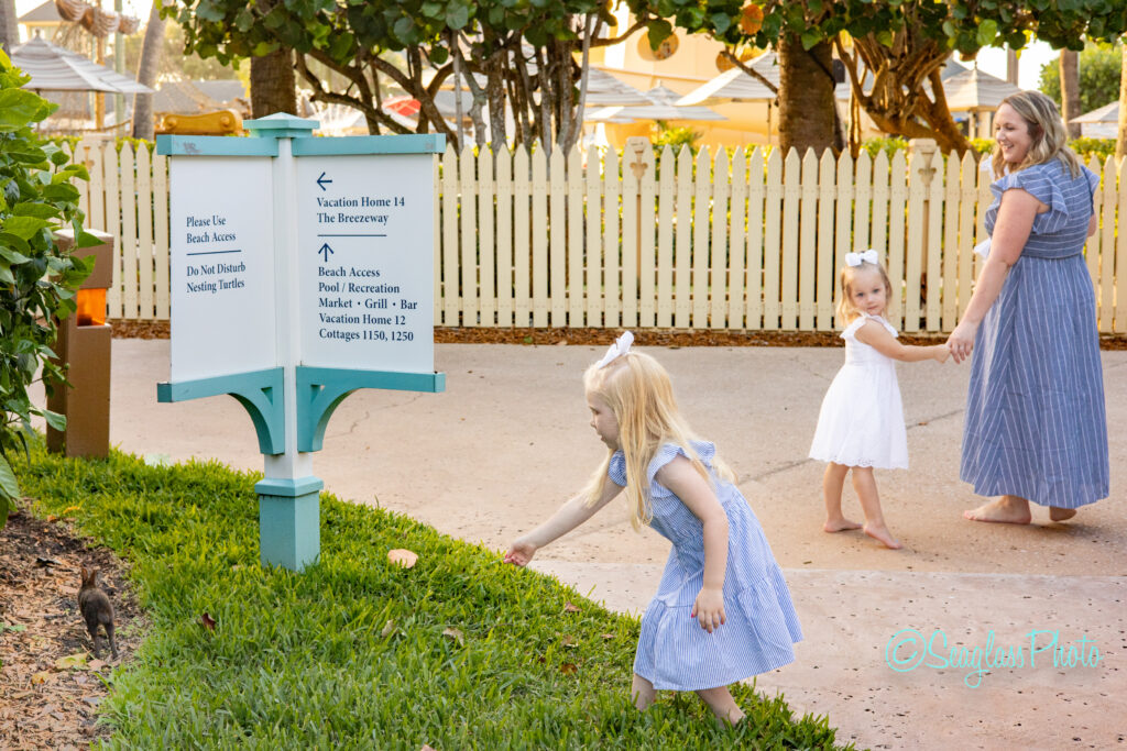 little girl wearing a blue dress trying to feed a bunny at the Vero Beach Disney Resort Photoshoot